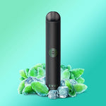 Envi Boost Disposable Vape - Intense Mint - Pick Vapes